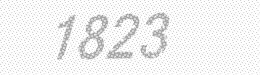 Visual security code — type the characters shown in the image