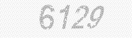 Visual security code — type the characters shown in the image